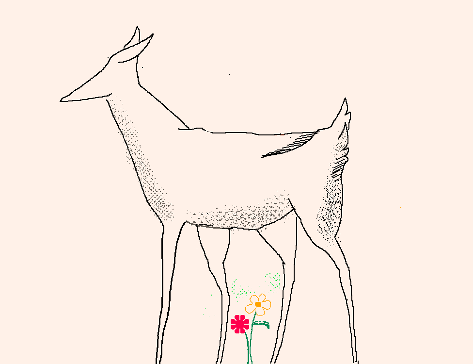 deer 